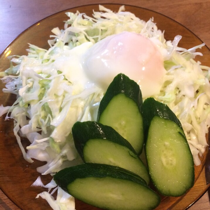 冷蔵庫にあるもので！満足サラダ